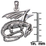 Jewelry Trends Sterling Silver Slumbering Dragon Pendant on 18 Inch Box Chain Necklace