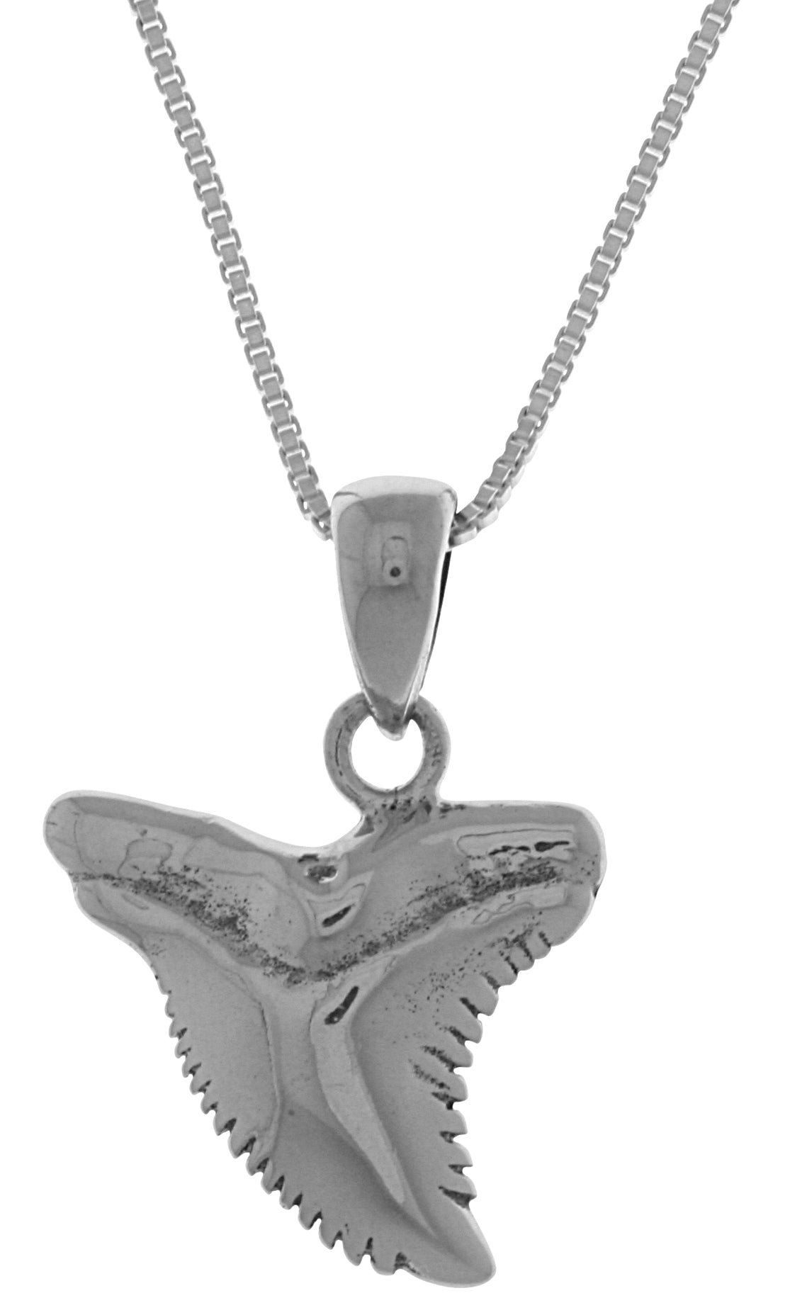Jewelry Trends Sterling Silver Shark Tooth Pendant on 18 Inch Box Chain Necklace