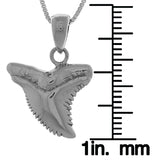 Jewelry Trends Sterling Silver Shark Tooth Pendant on 18 Inch Box Chain Necklace